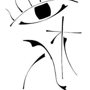 Eye Witness Protection